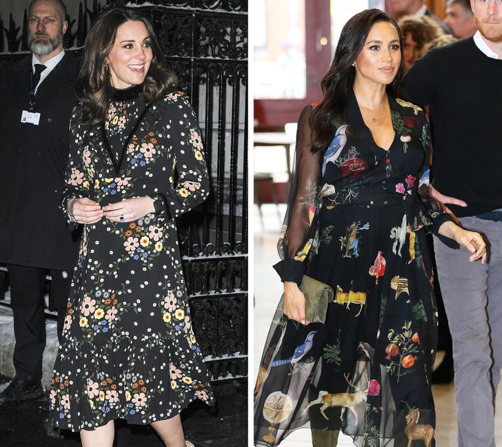 Фото из свободных источников.