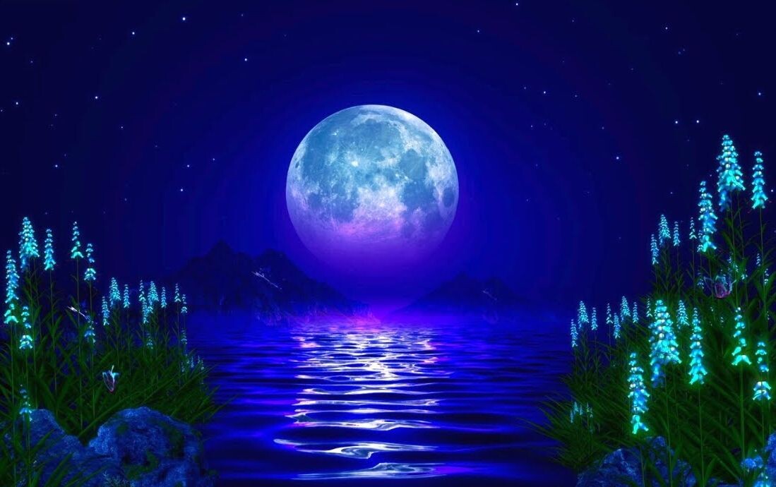 В растении мы имеем перед собой некое взаимовоздействие лунного и солнечного.