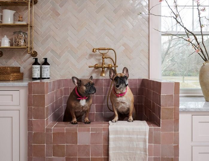Лапомойки в интерьере: как обустроить идеальную ванную для питомца