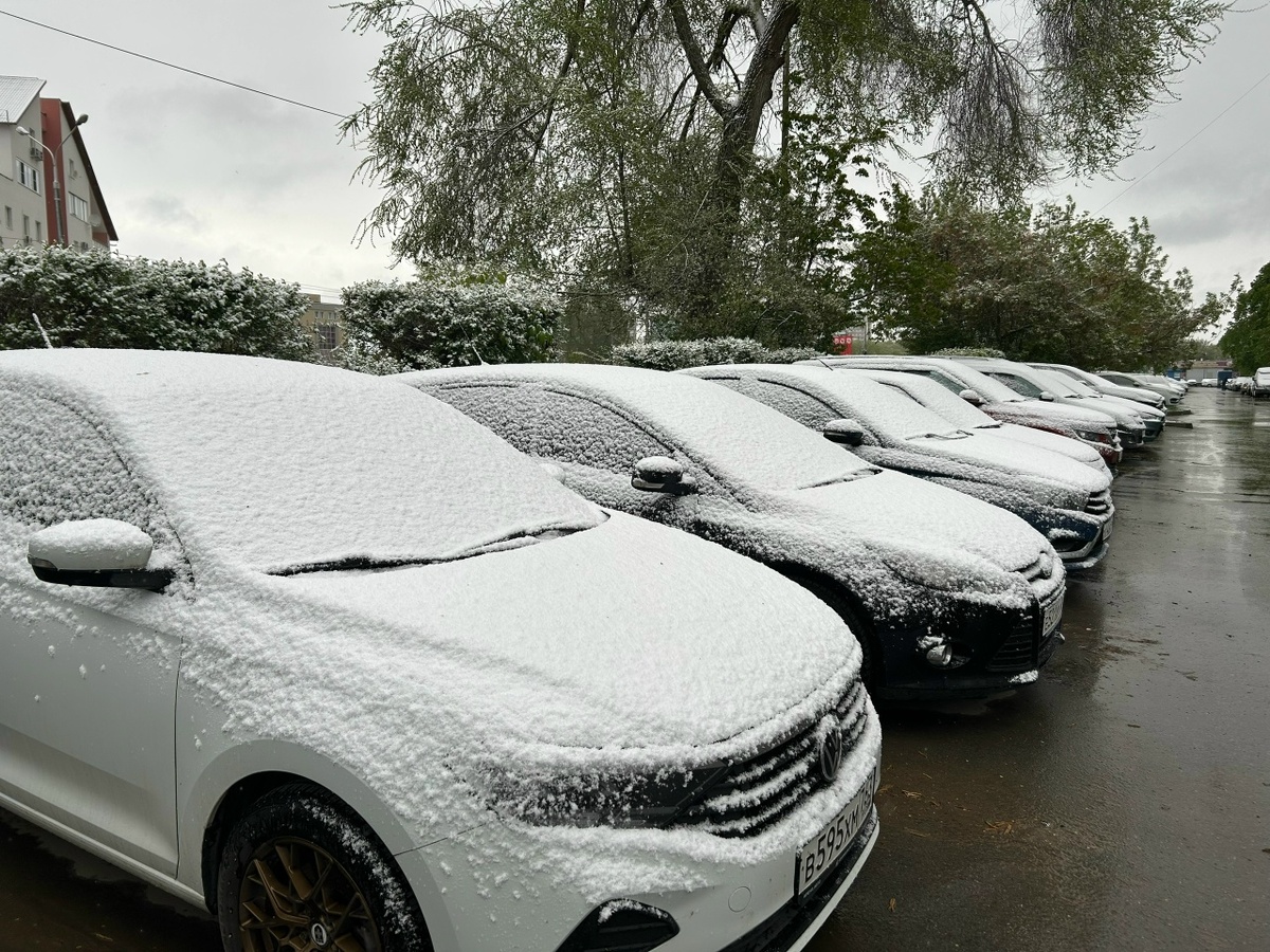    Фото: Анастасия Максименко