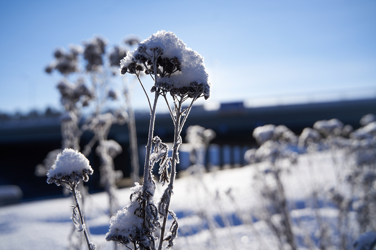    Фото: Лидия Аникина