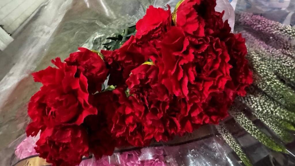    Фото: пресс-служба Северо-Западного межрегионального управления Россельхознадзора