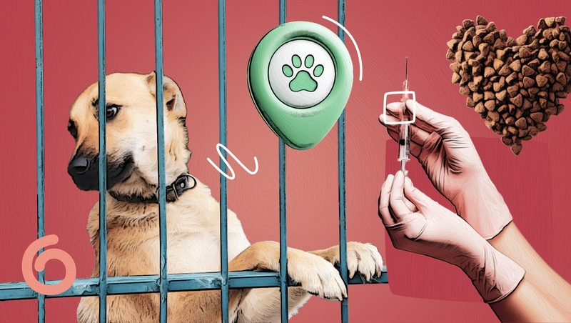      Фото: Алина Гулиян / / ИА «Победа26»