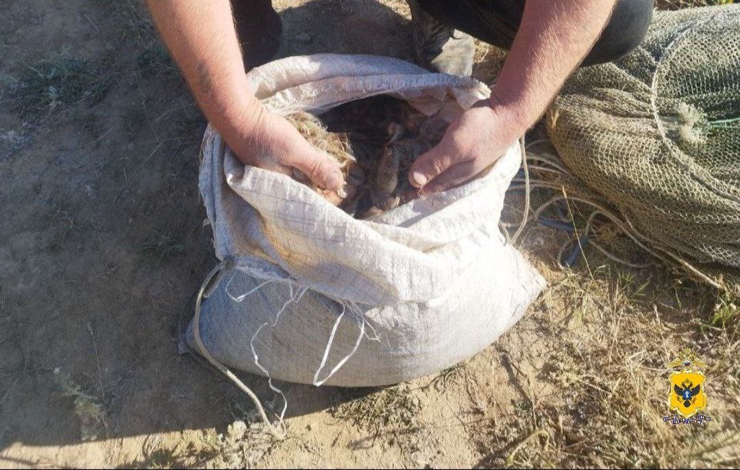    Фото: пресс-служба прокуратуры Херсонской области