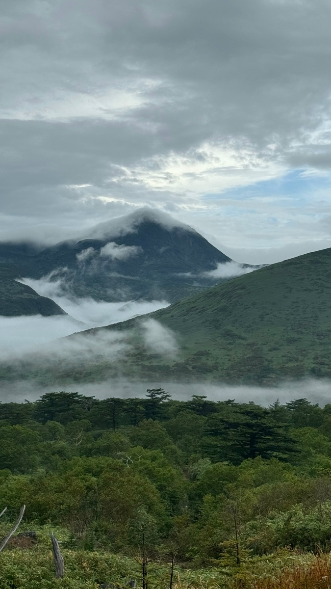 Виды, которые ни с чем не спутать