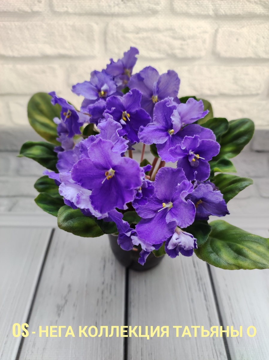 Это полумини.