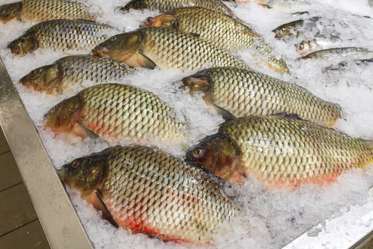 Фото: Роман Пименов