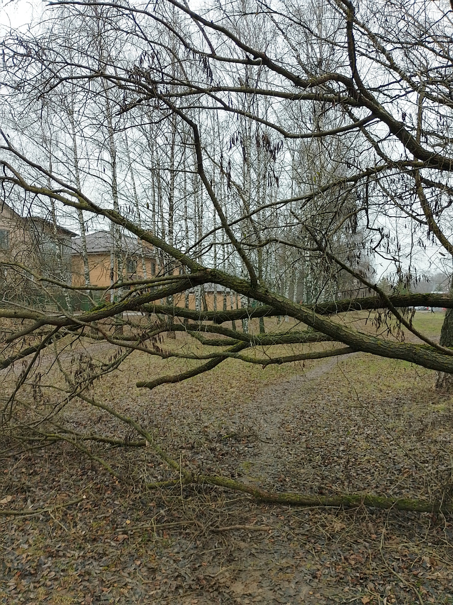 Фото автора.