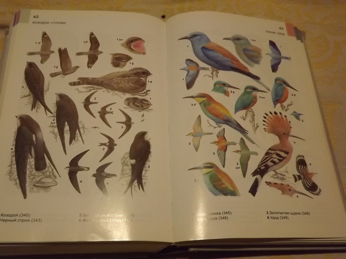 Пример разворота