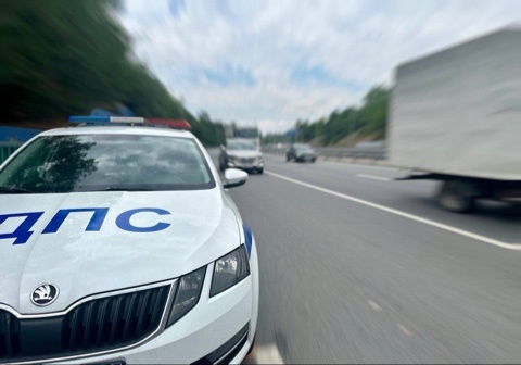    ДПС// Фото официальный сайт Госавтоинспекции Ростовской области