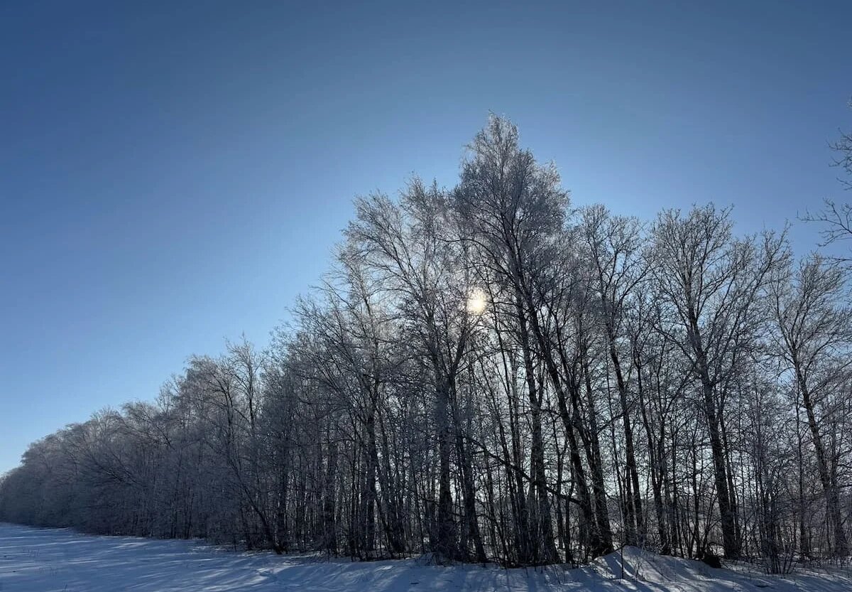 Фото: UfaTime.ru