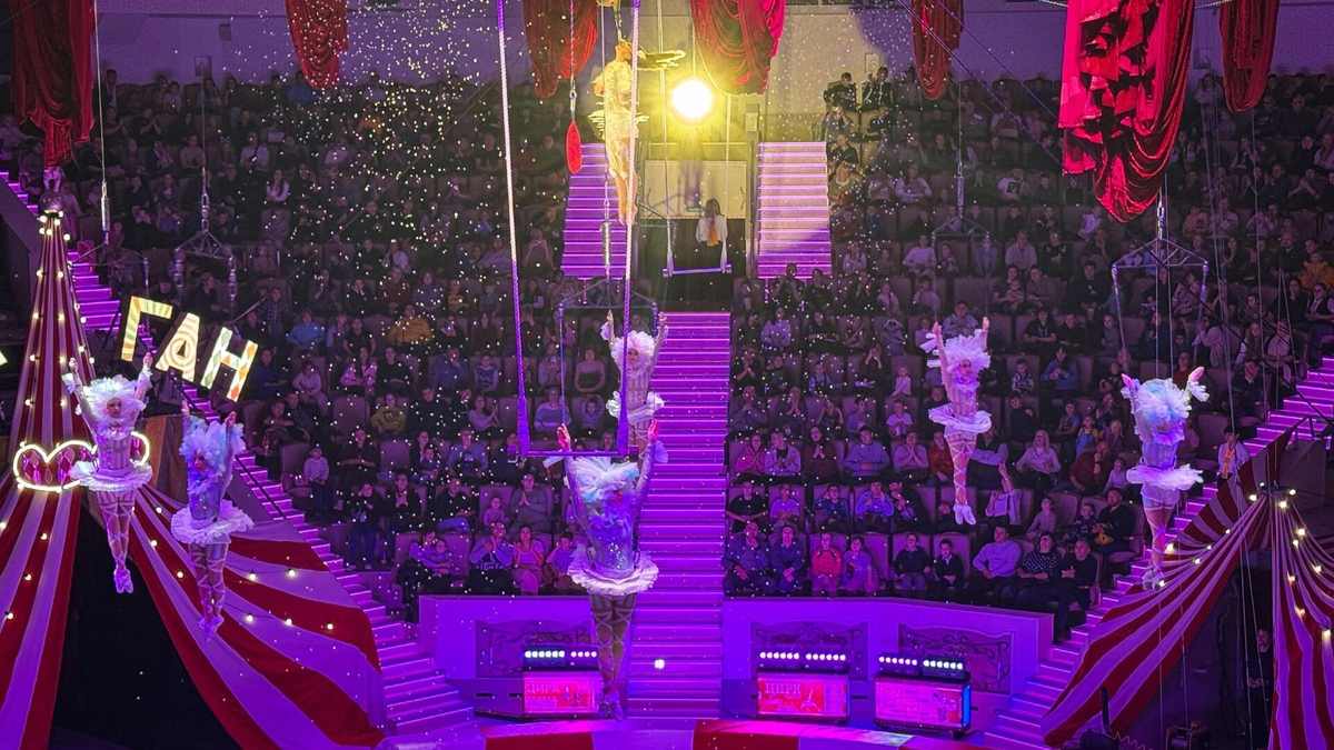 Фото: 1MI. Цирк могут открыть на Харгоре в Белгороде
