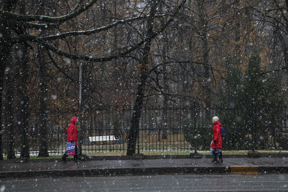 Фото: Роман Пименов
