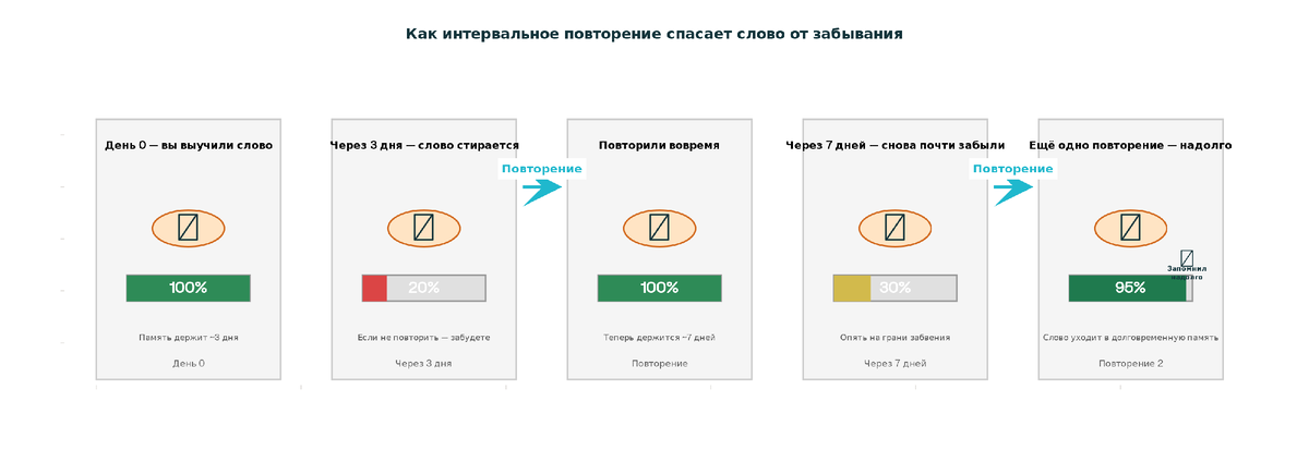 Визуализация удержания новой информации в памяти