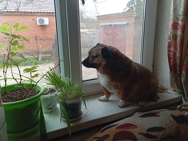 Фото автора. 