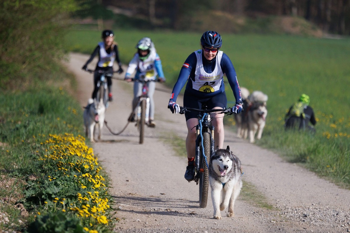    Синхронность действий является залогом успешного прохождения трассы
