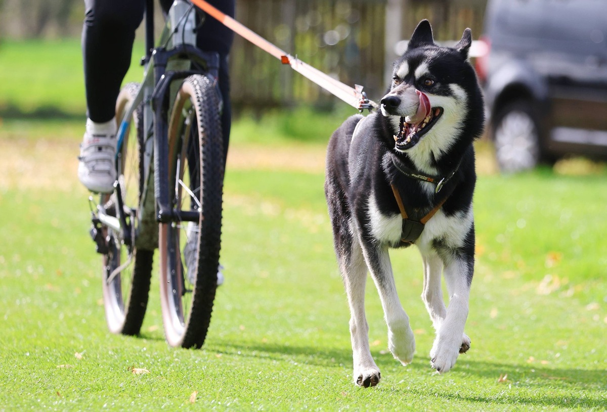    Соревновательный процесс требует от участников концентрации и выносливости