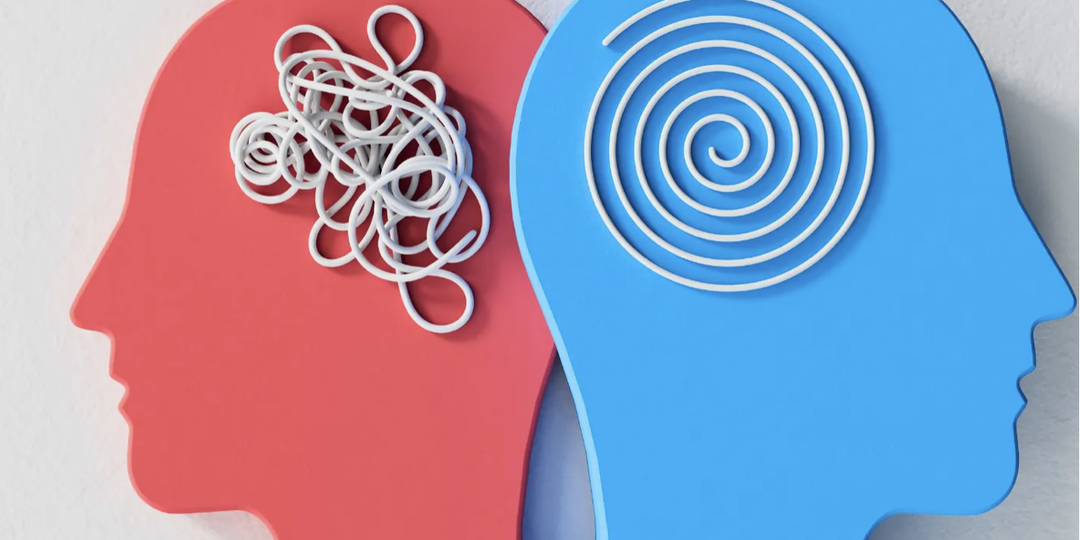 Мужской мозг в любви: 10 секретов психологии и нейронауки, о которых большинство женщин не знают