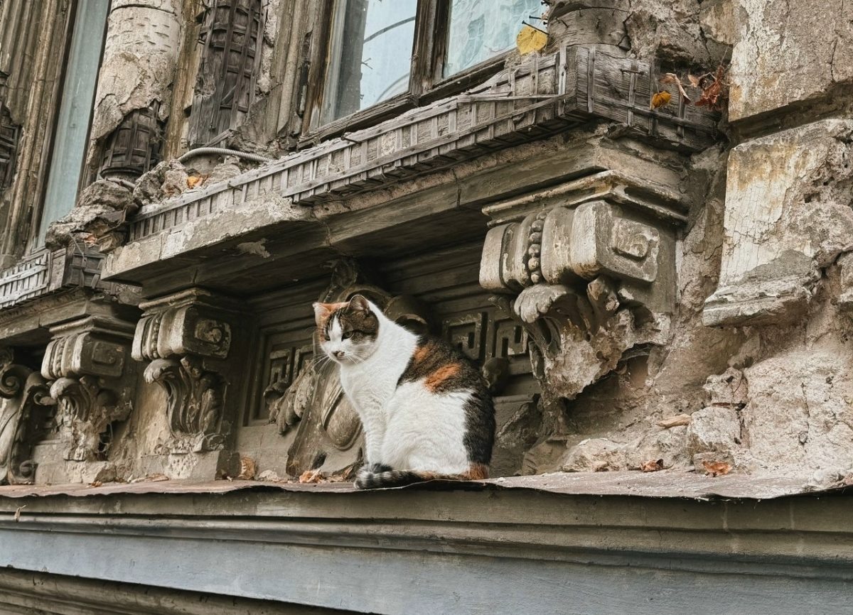    Усадьба Щелокова славится уникальным декором отдельных элементов