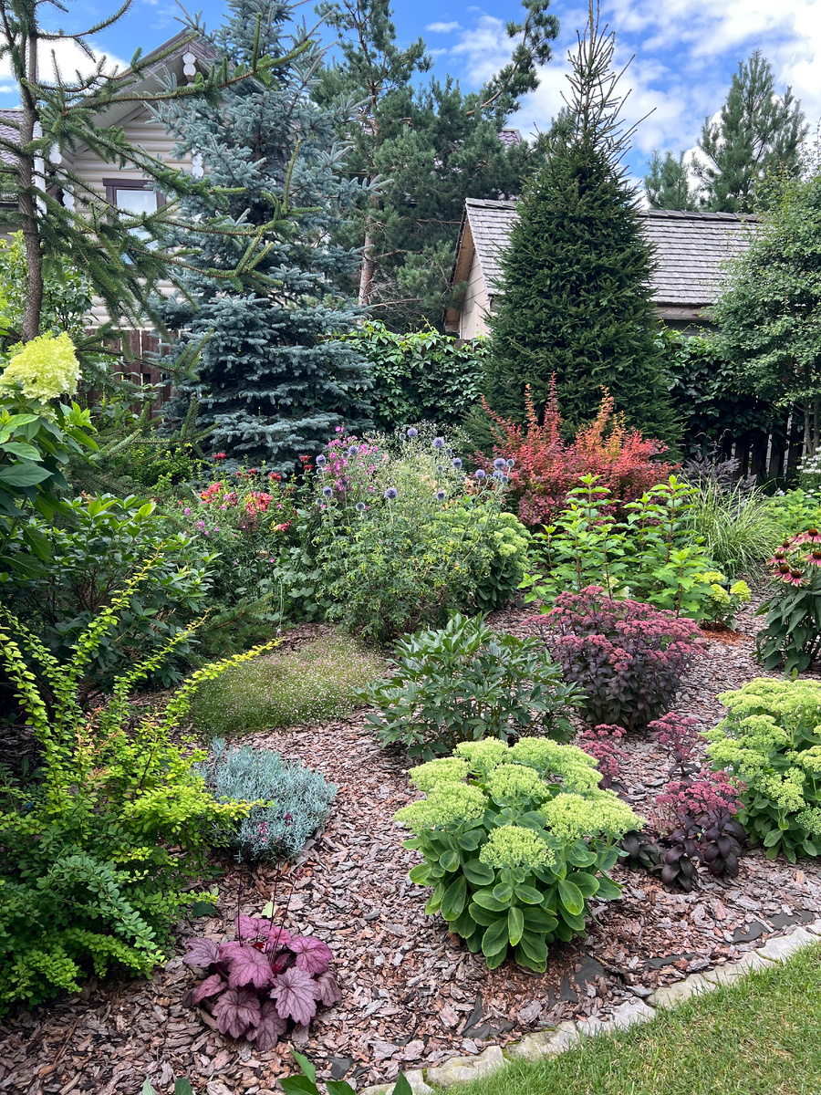 В моем  саду