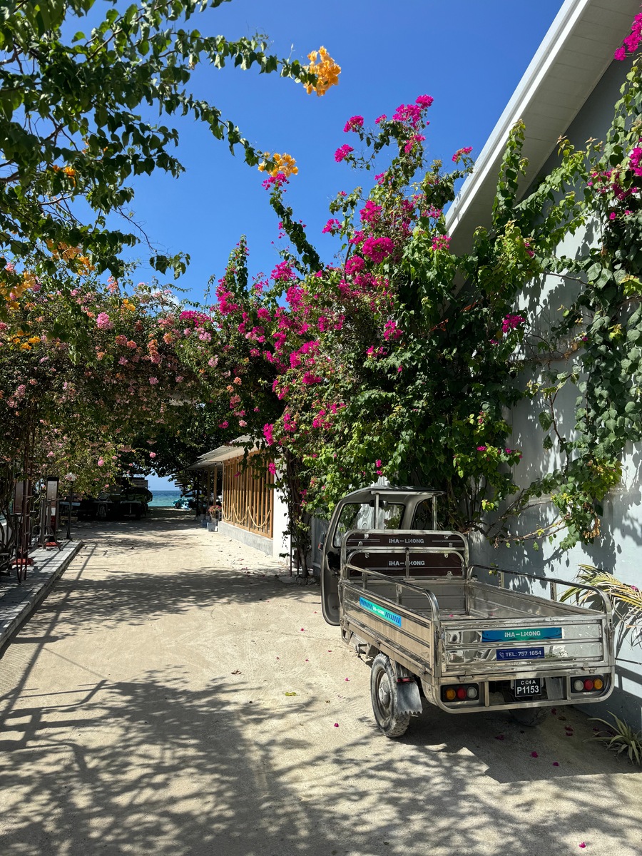 Дорога на bikini beach (октябрь 2025)