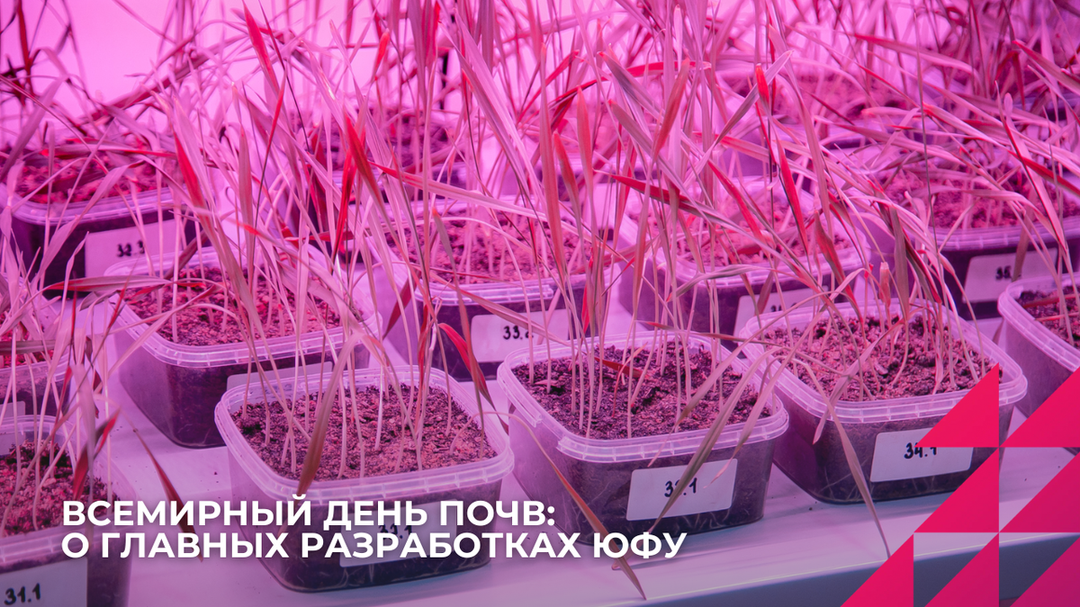 Фото: Центр общественных коммуникаций ЮФУ