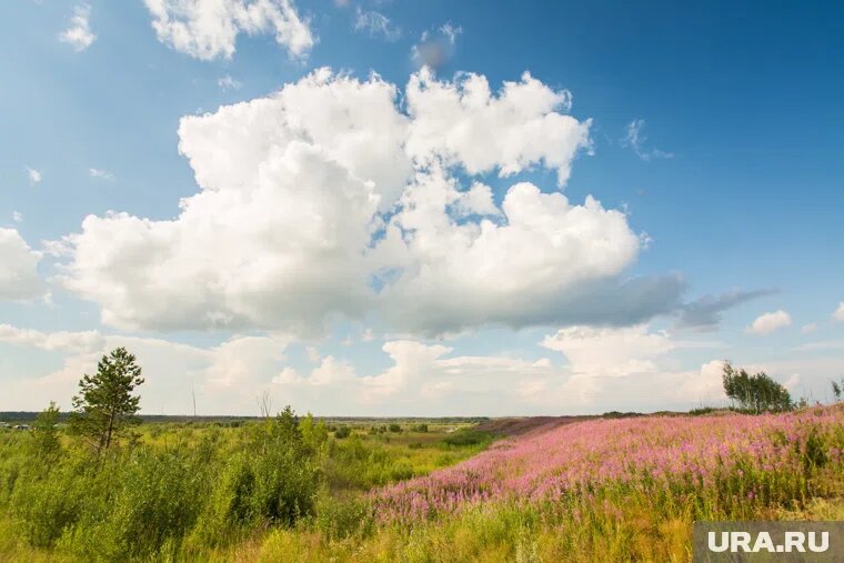 Нейтральный белый Cloud Dancer стал цветом 2026 года. Фото: Александр Кулаковский © URA.RU