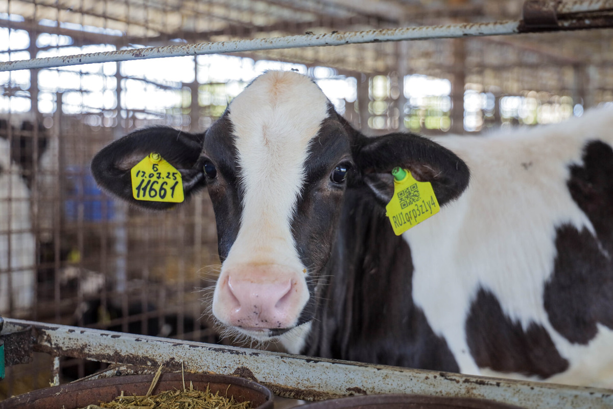    Фото: ТРК «Таврия»