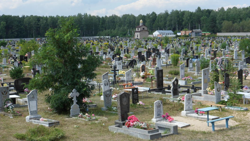    фото: соцсети