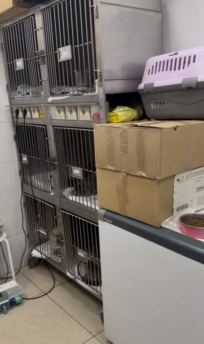 Стационар💔