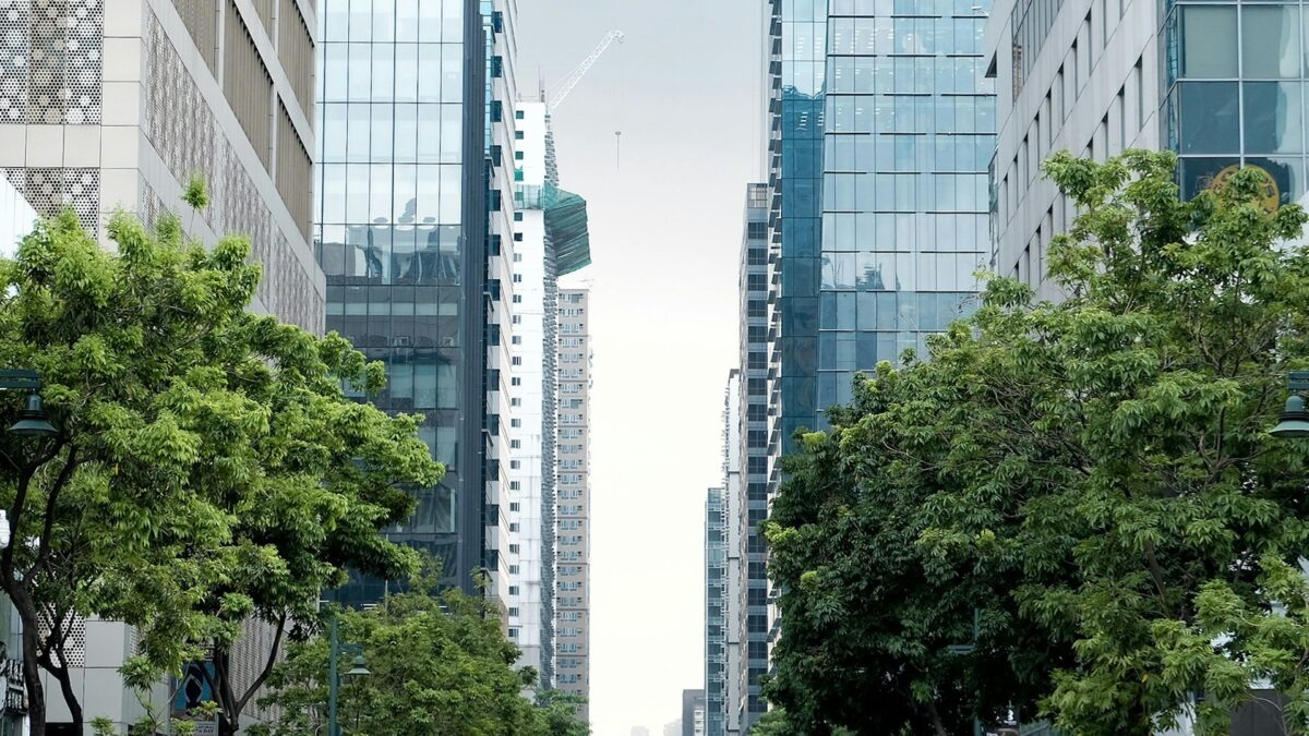 Фото: wsky-ago / unsplash