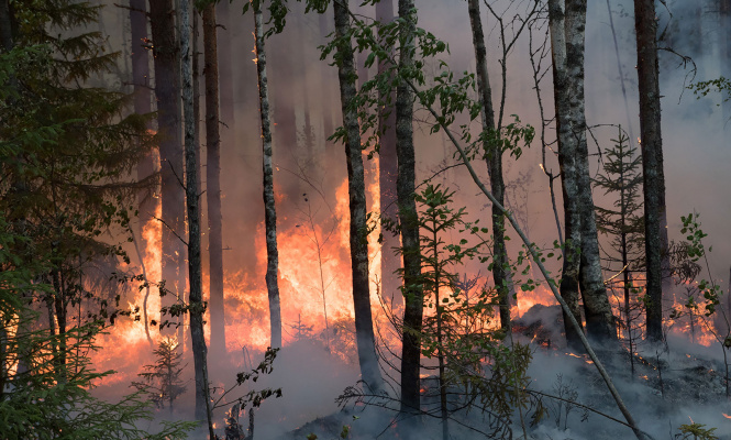    фото: © Илья Тимин