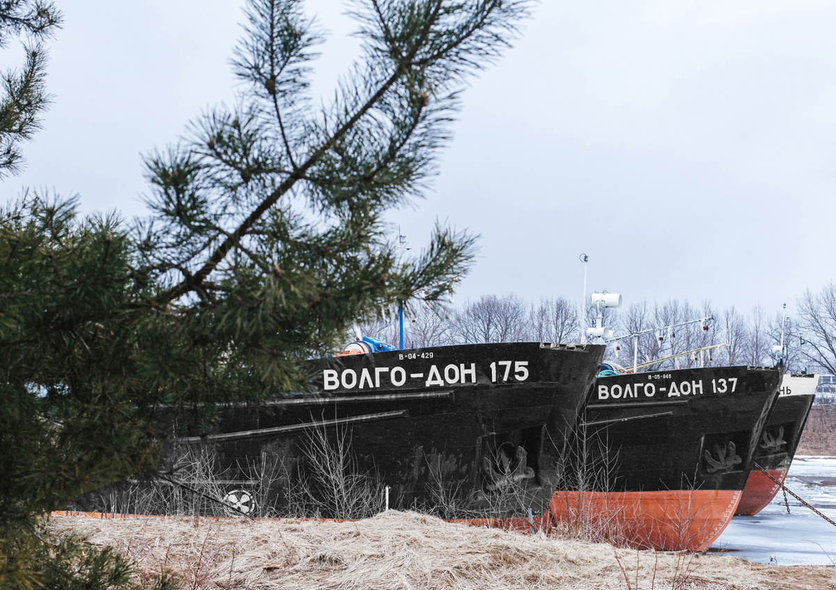 Теплоходы "Волго-Дон" / Фото: "Судоходная компания "Волжское пароходство", АО  📷
