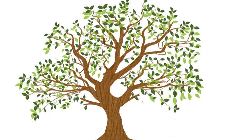 иллюстрация к "веткам вероятностей"