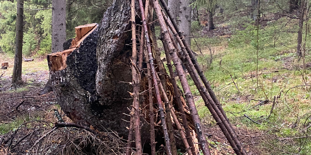 76. Исчезновение речных жителей. Досье капитана Максимова.