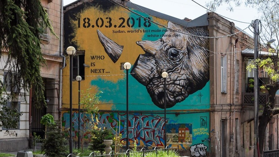 Росписи и граффити на стенах тбилисских домов: одни восхищают, другие хочется не замечать