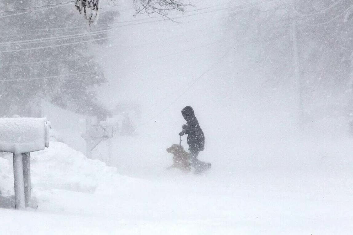 Фото взято из открытого источника