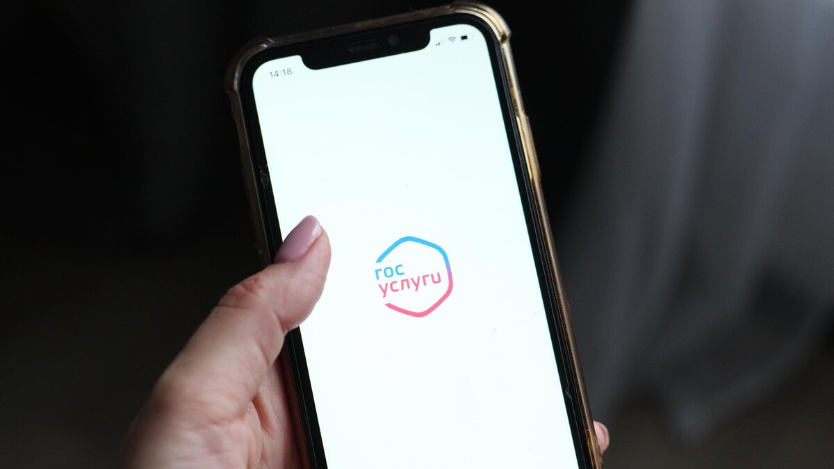    Фото: ИЗВЕСТИЯ/Юлия Майорова