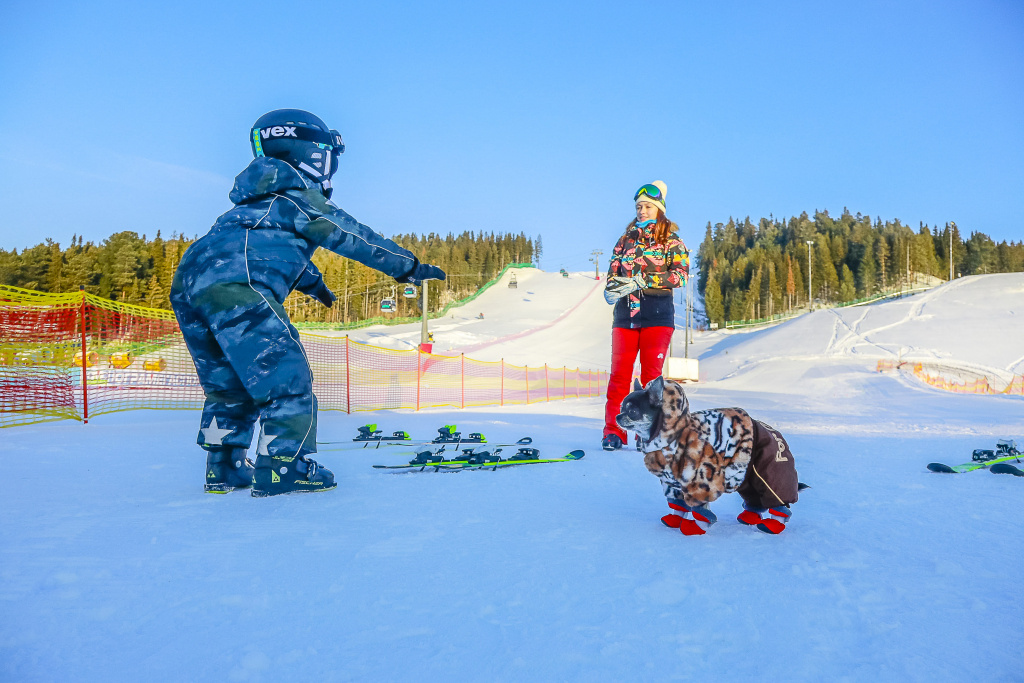    Мощный движ: половина россиян собирается в путешествие на новогодние праздники