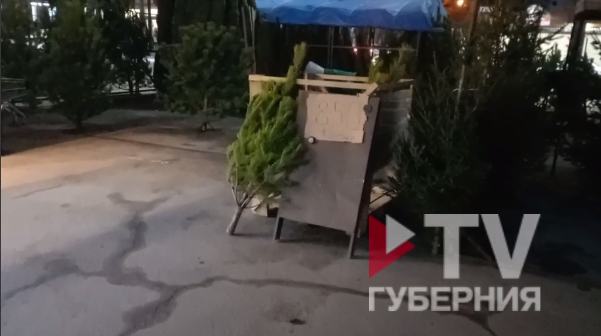     Фото/видео: прислал читатель