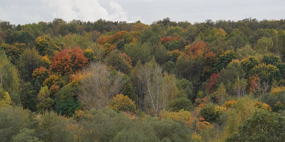 На северо-востоке Москвы второй день ищут 11-летнего мальчика