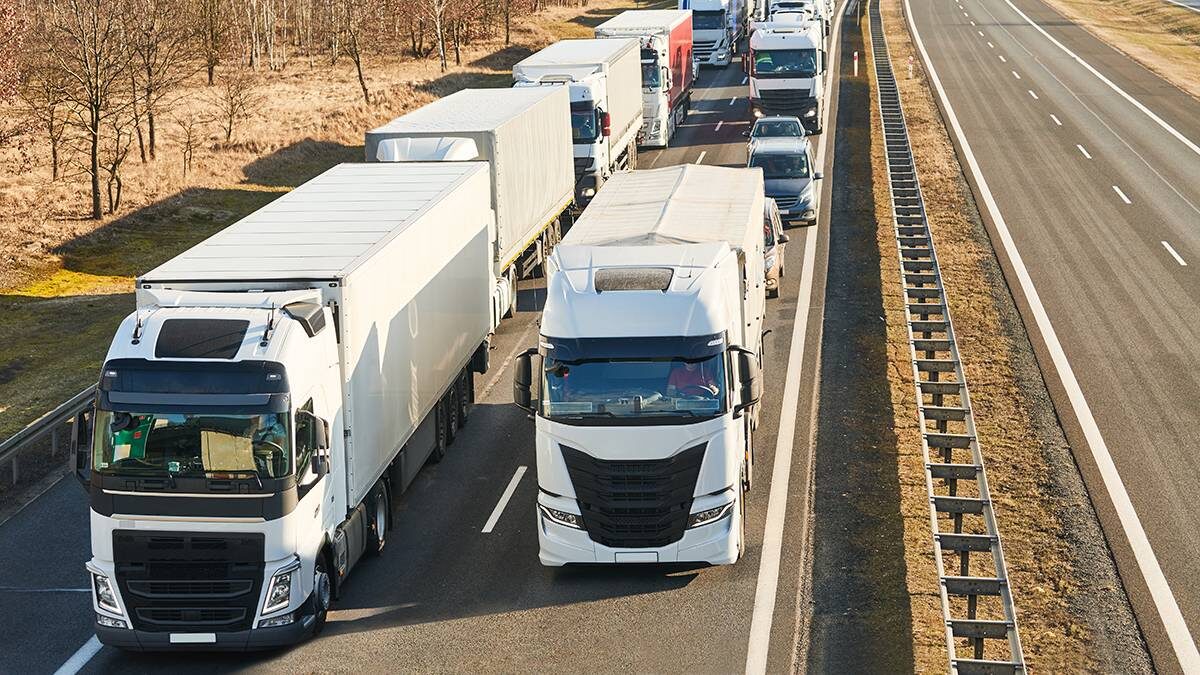    Фото: Shutterstock