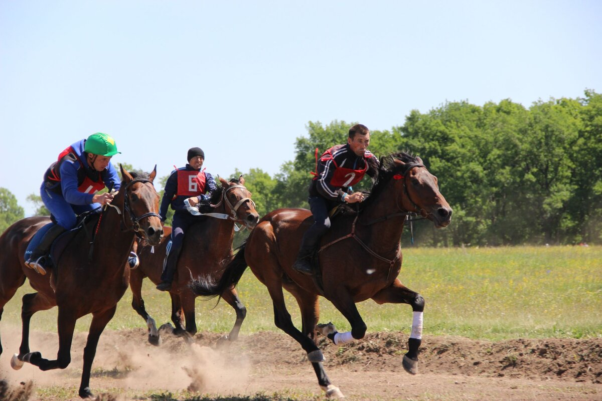 Скачки на Сабантуе. Фото из открытого доступа в интернете.