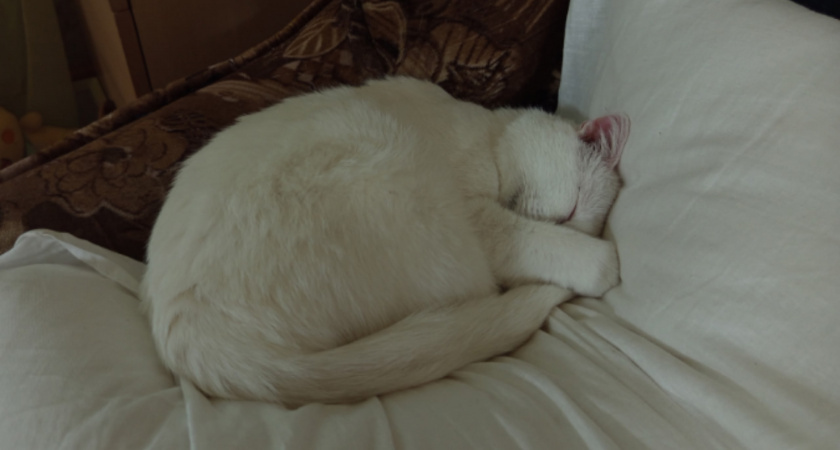    Фото из архива редакции