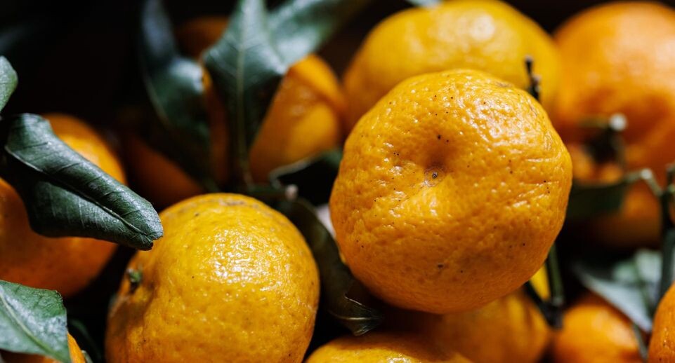    Sergey Elagin/Business Online / www.globallookpress.com