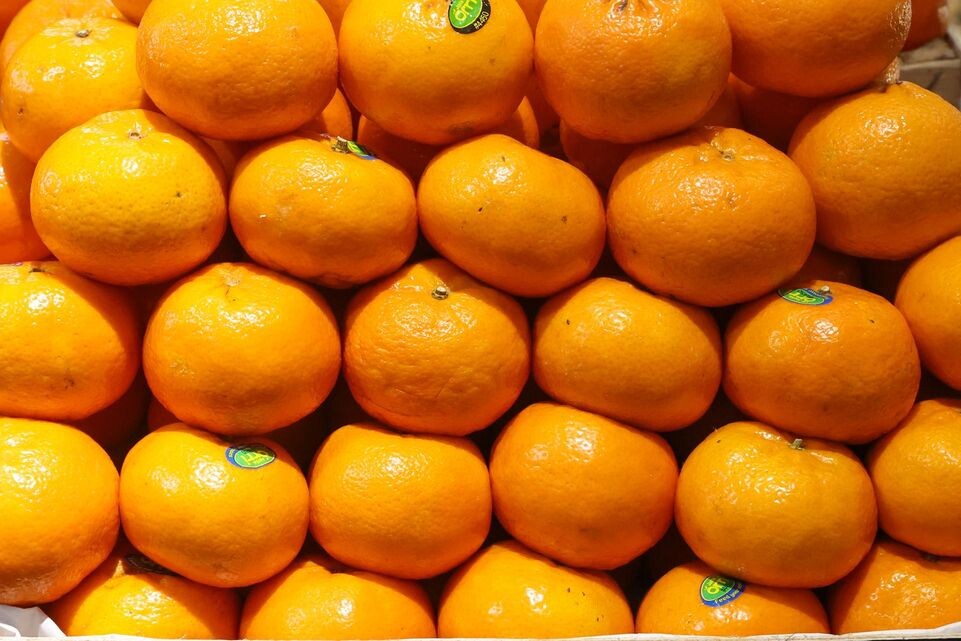    Petrov Sergey/news.ru / www.globallookpress.com