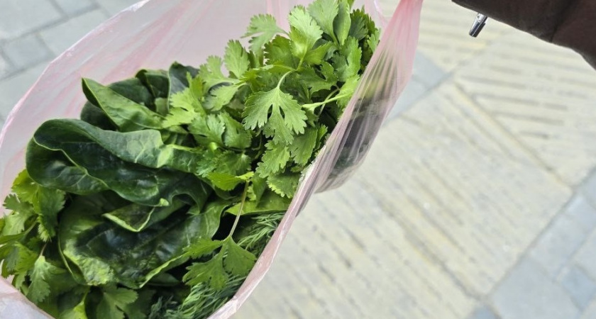    Фото Анастасии Дмитриевой