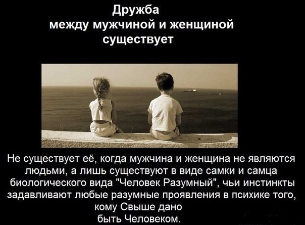 яндекс.картинки