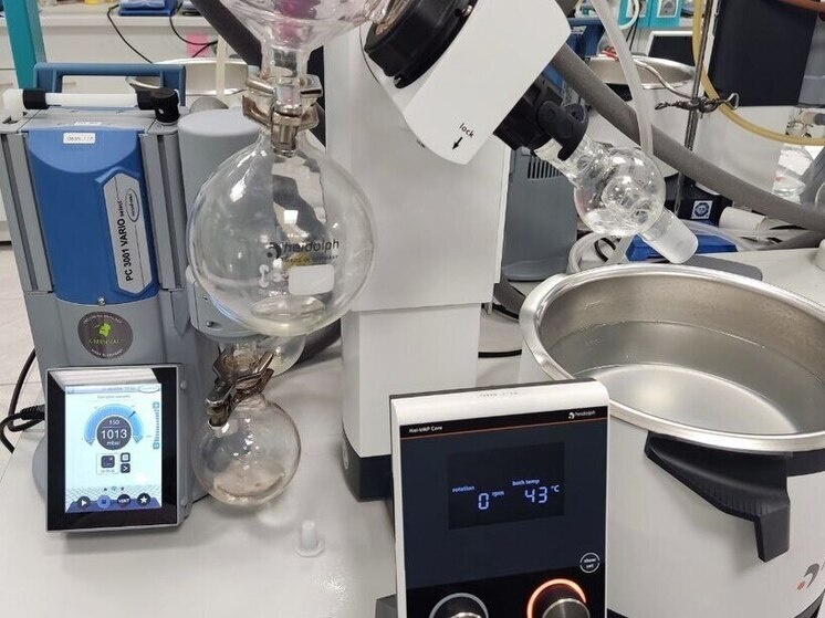     Учёные будут работать над расшифровкой геномов паразитов. Фото из архива "МК в Питере"