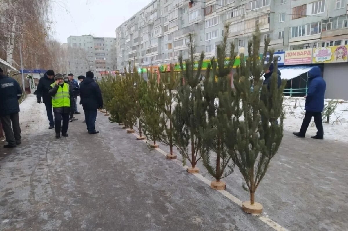    15 декабря в Ульяновске заработают 24 ёлочных базара